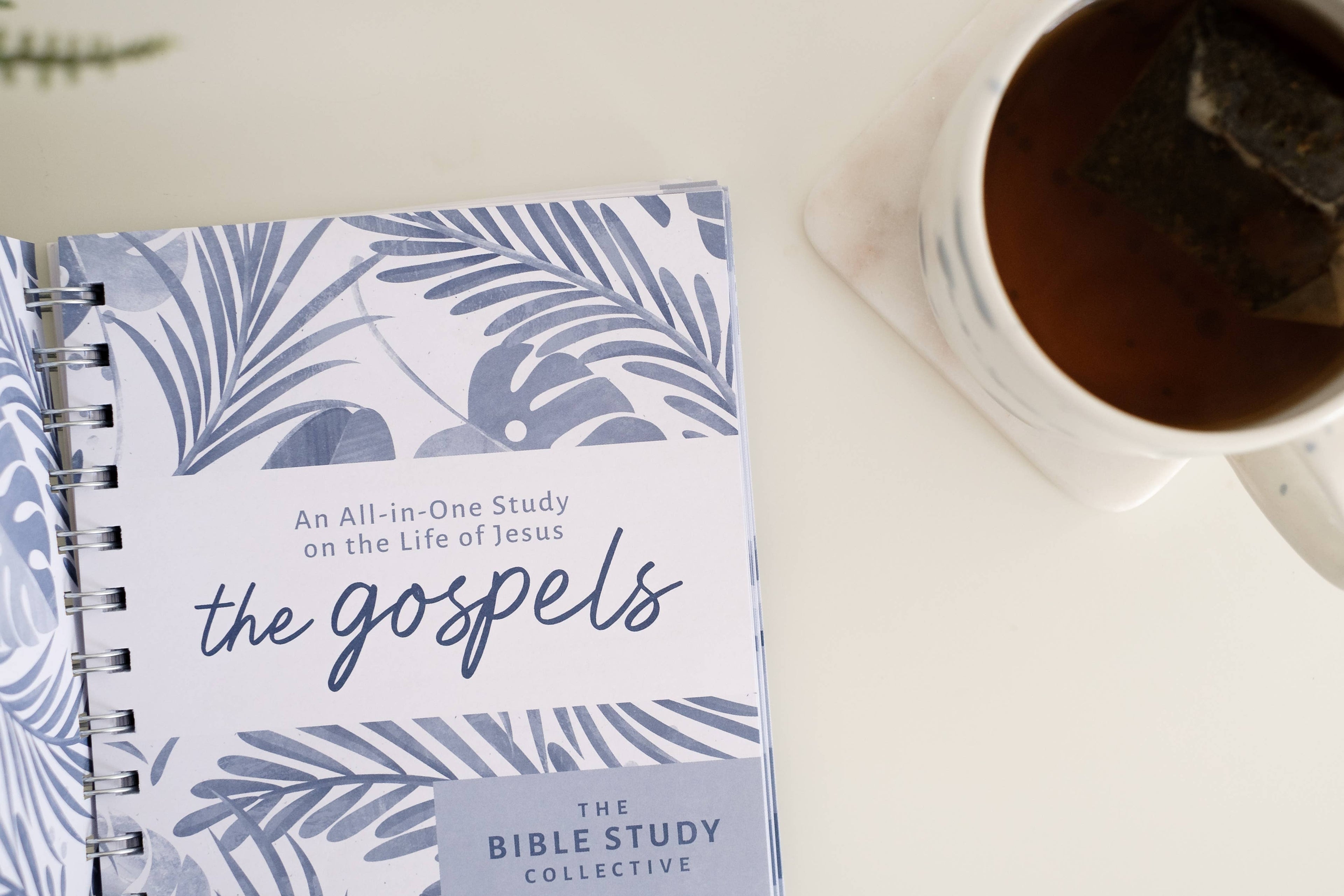 Barbour | The Gospels | All-In-One Study on the Life of Jesus