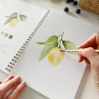 Emily Lex | Watercolor Workbook | Fruit