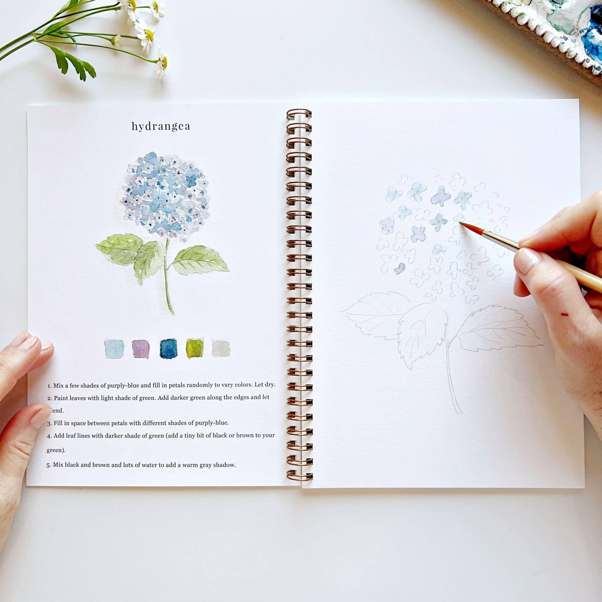 Emily Lex | Watercolor Workbook | Flowers